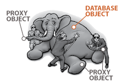 database proxy object